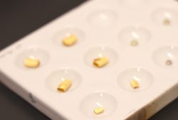 LAB